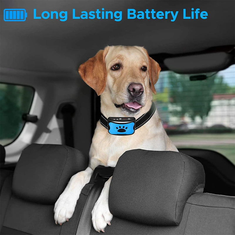 Dog Training Collar Rechargeable
