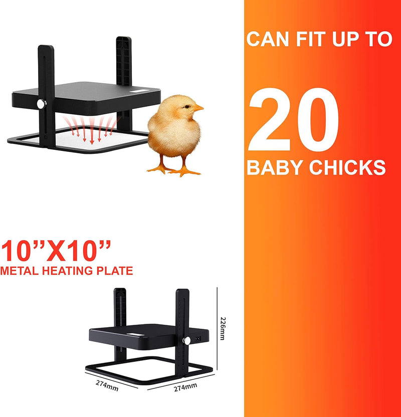 Chicken Heating Plate Brooder