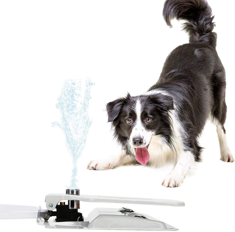Dog Water Fountain Outdoor