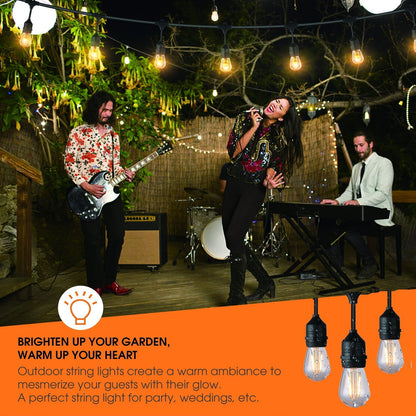 Festoon light installed on a garden fence in daylight