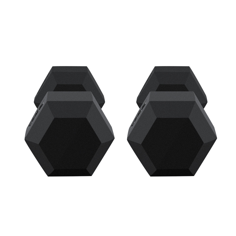 Dumbbell set 2x 10kg hex weights used for arm exercises
