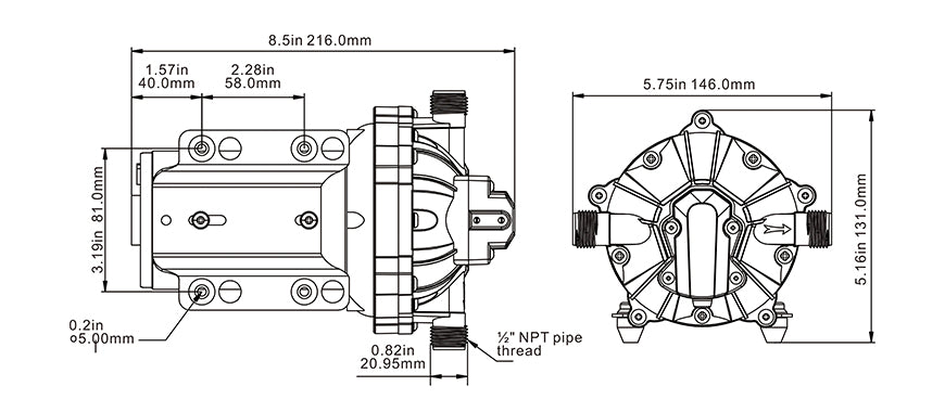 12V water pump with visible five chamber diaphragm design