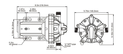 12V water pump with visible five chamber diaphragm design