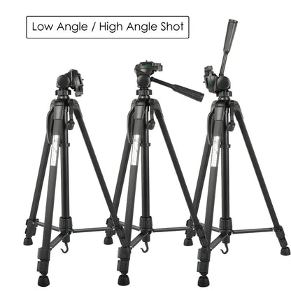 Camera tripod quick release head for fast setup