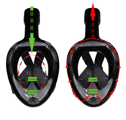 Snorkel Mask