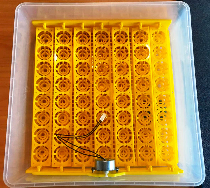 56 Egg  Incubator 56 Egg