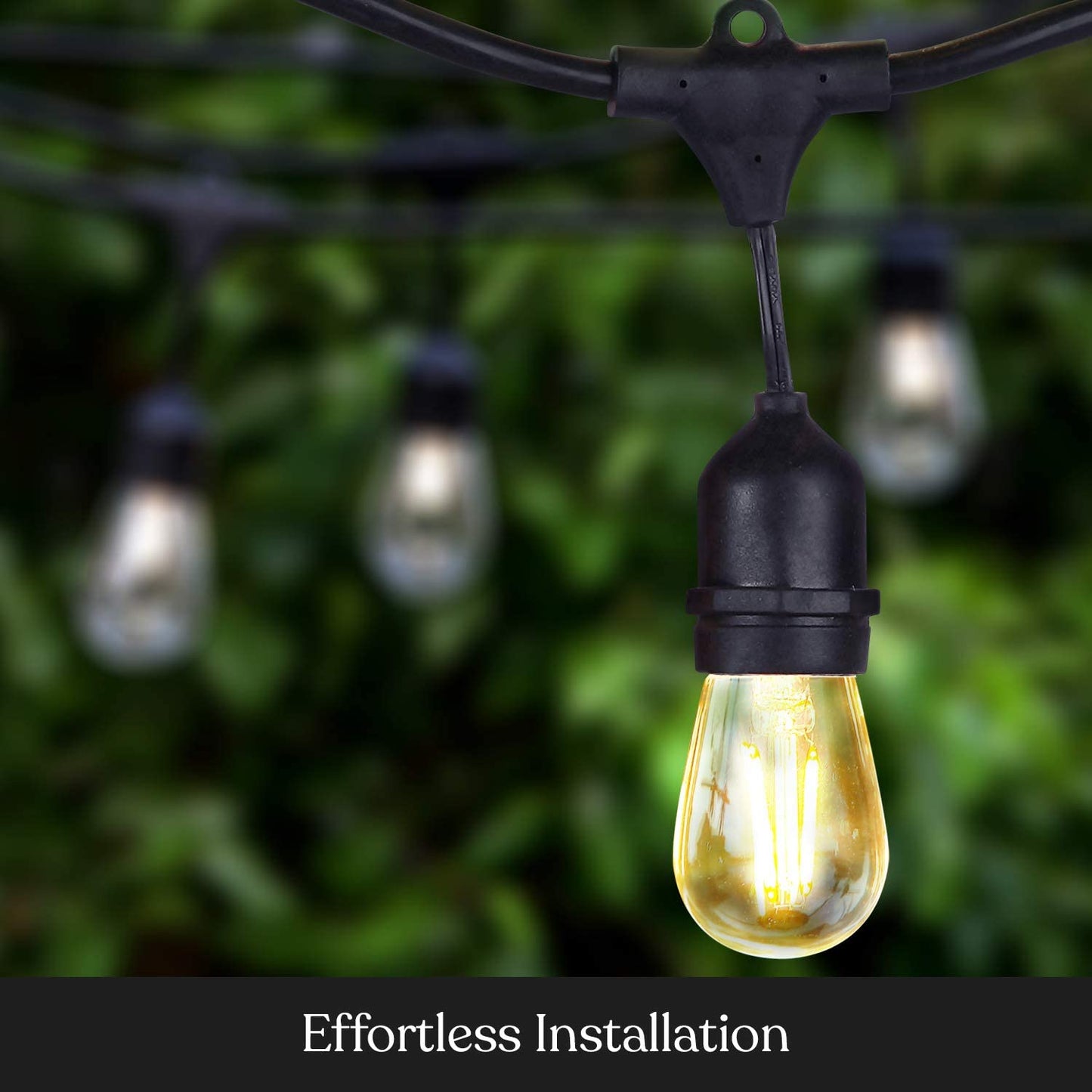 Festoon Light