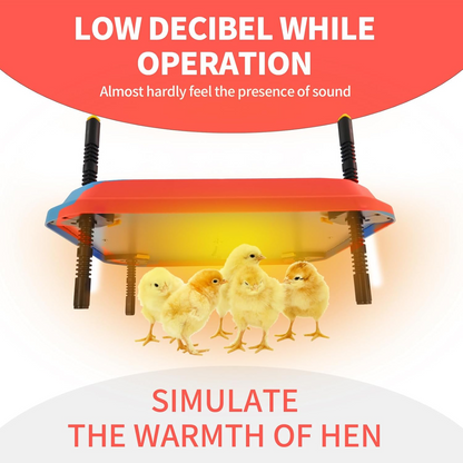Underside of chicken heating plate brooder showing heating element