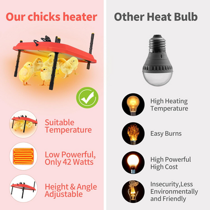 Chicken heating plate brooder in use with chicks underneath