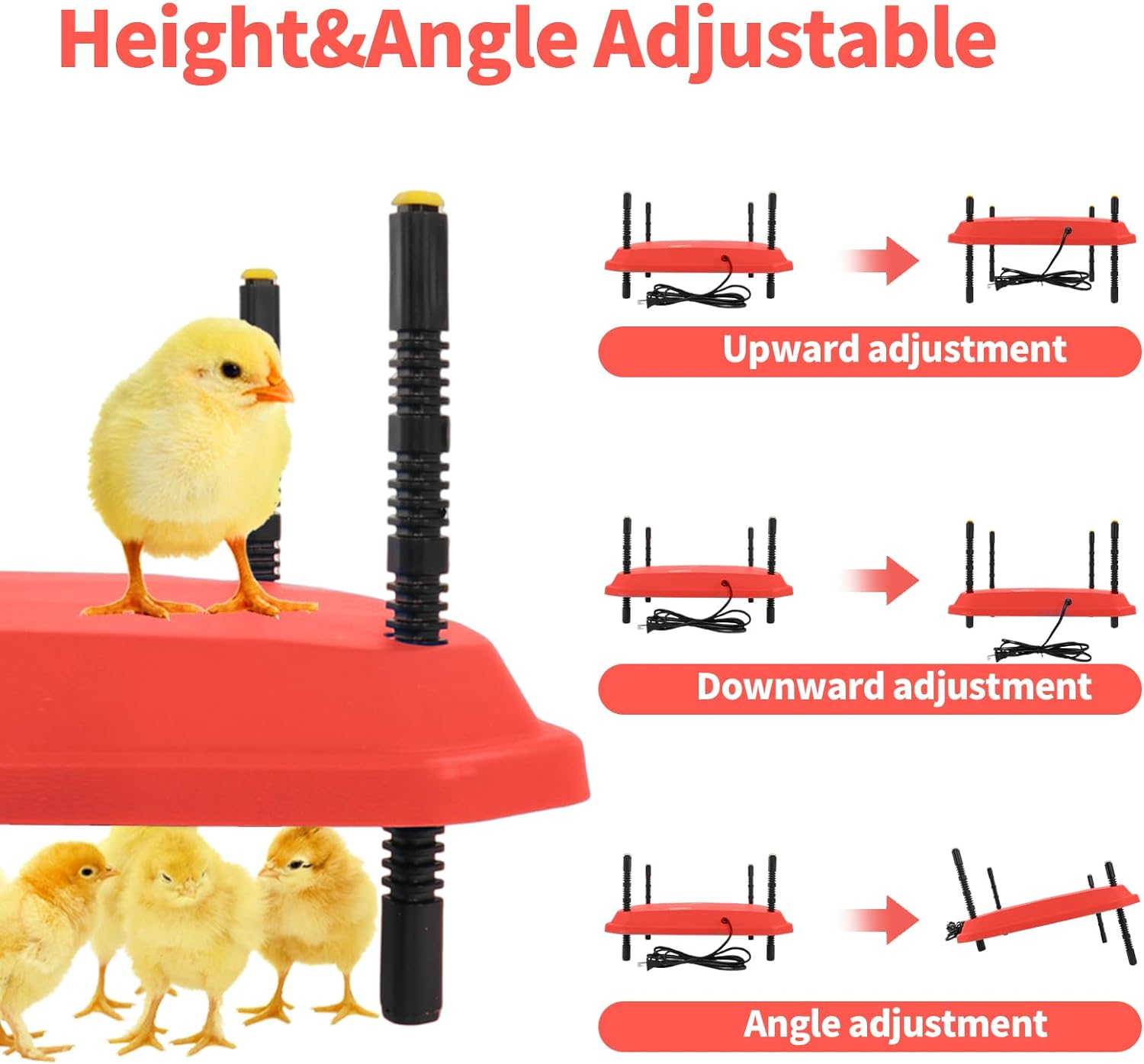 Chicken heating plate brooder temperature control knob detail