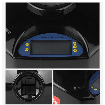Automatic Pet Feeder