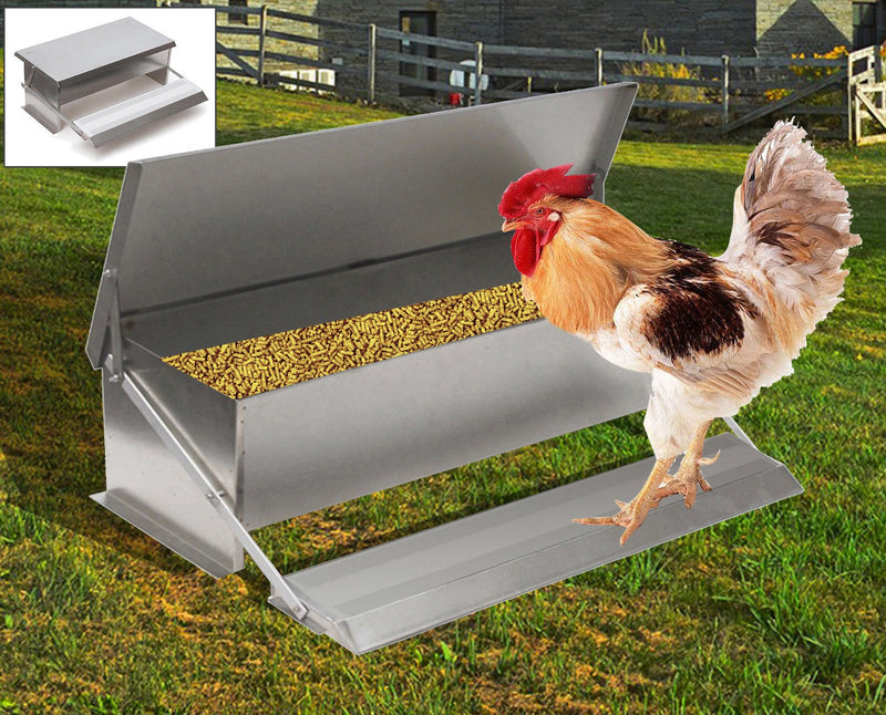 Chicken Feeder