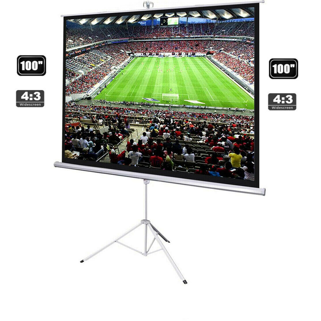 Adjustable height tripod holding projector screen
