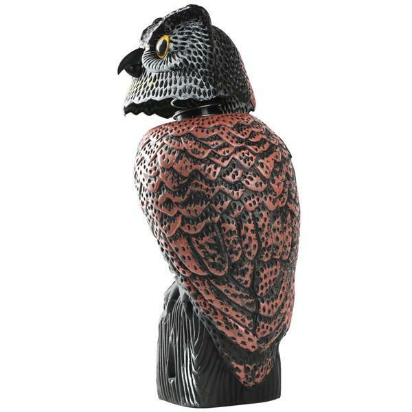 Owl bird scarer placed on lawn to deter pigeons
